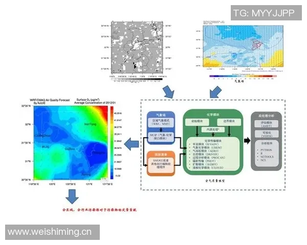 南京网球队实力深度解析与对比分析报告